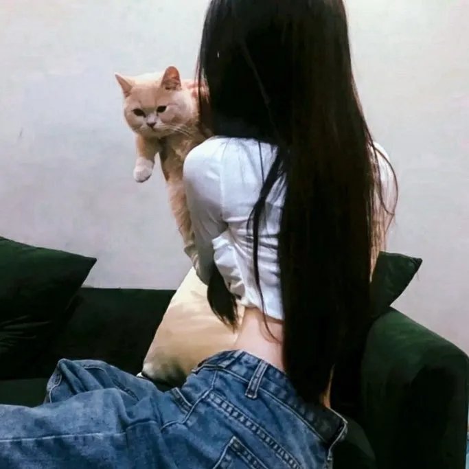 羊狼共和国:猪事大急
